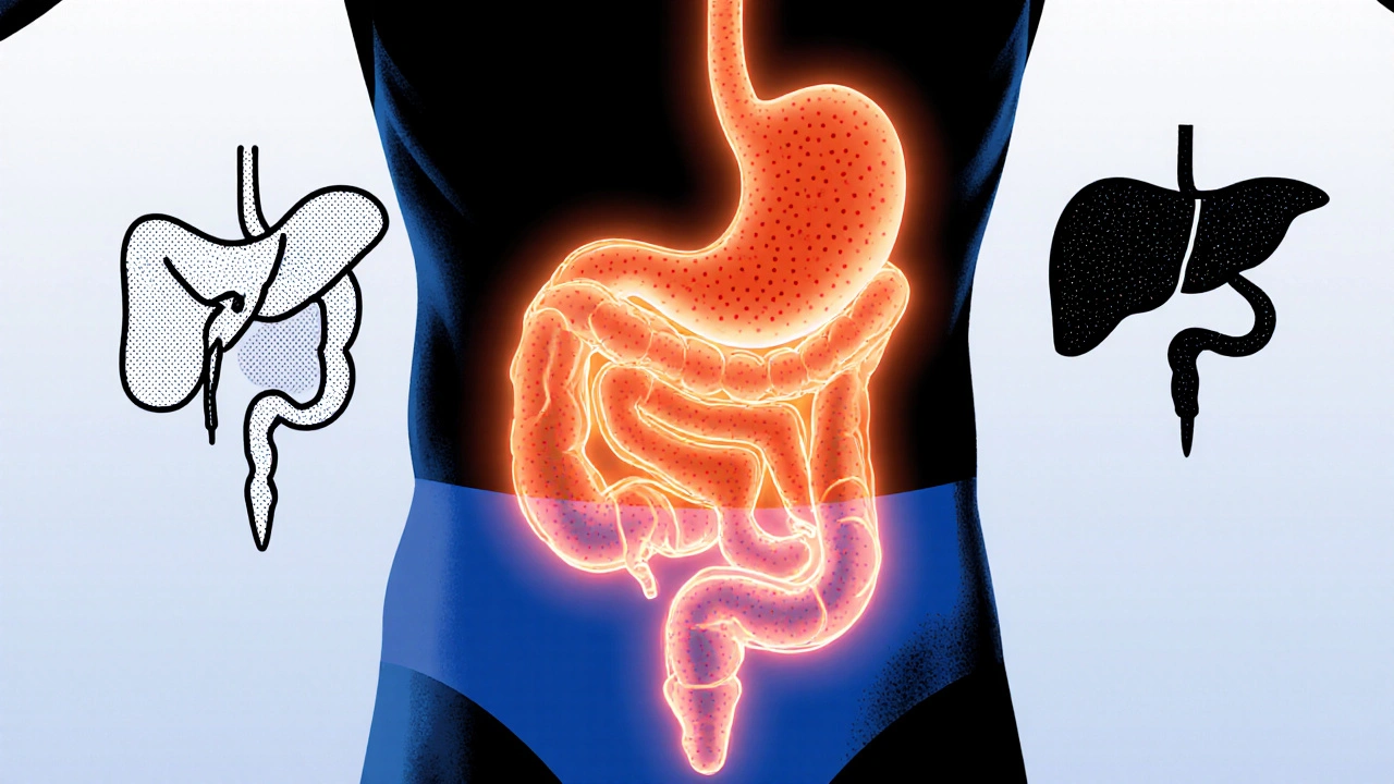 Epigastric vs. Abdominal Pain: How to Distinguish the Two
